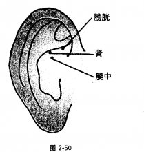 面相 眉间竖纹_眉间竖纹_面相学眉间竖纹