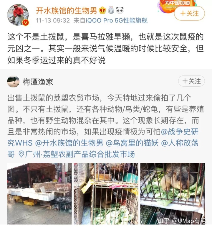 狗和鼠能一块养吗_鼠猫同人文鼠攻猫受_属鼠的人能养猫吗