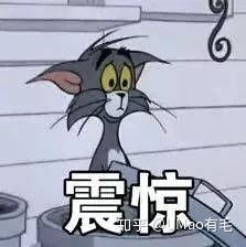 属鼠的人能养猫吗_狗和鼠能一块养吗_鼠猫同人文鼠攻猫受