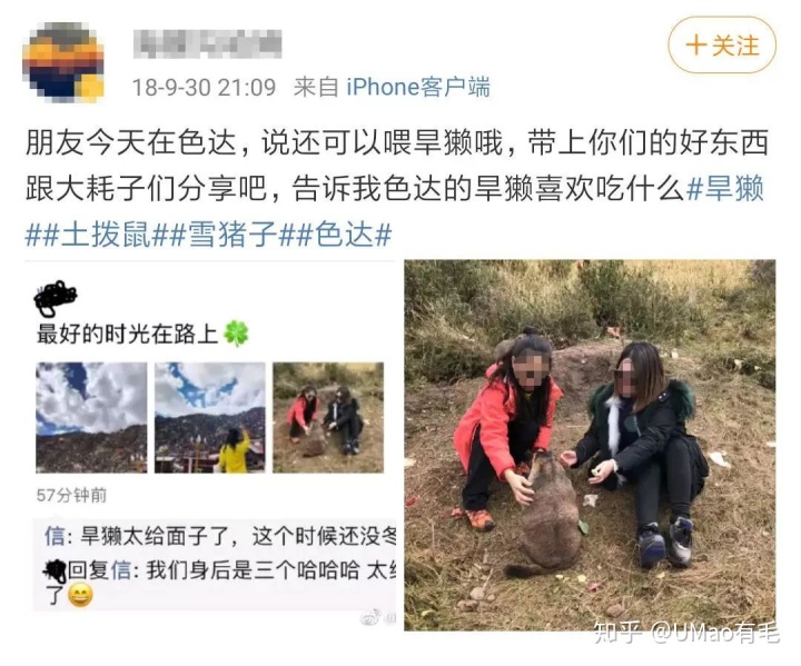 鼠猫同人文鼠攻猫受_狗和鼠能一块养吗_属鼠的人能养猫吗