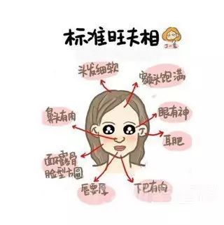 颧骨高脸颊凹陷怎么办_面相学脸颊凹陷好不好_女人脸颊凹陷面相