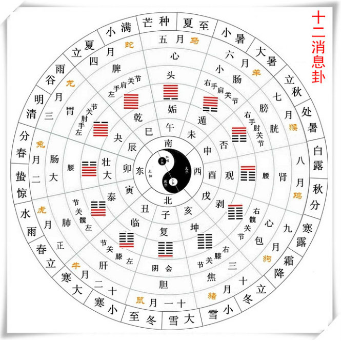 新八字起名和八字有什么区别？与八字的区别
