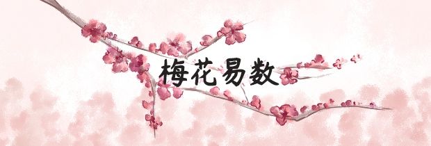 《梅花易数》术数体系的产生、发展和演变的研讨结果