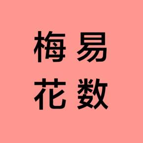 《梅花易数》术数体系的产生、发展和演变的研讨结果