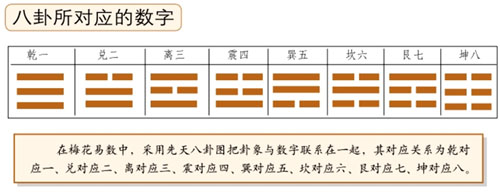 新梅花易中的位卦是什么意思？《梅花易数》当中错卦和综卦