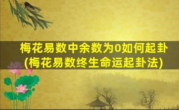 梅花易数时间起卦法被为零时1什么意思