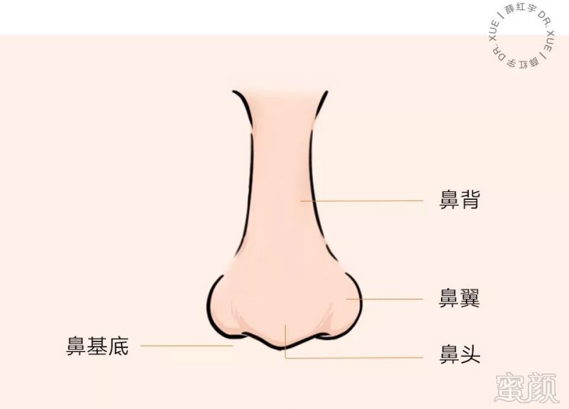 什么样的面相最有福气？耳朵则是福气的象征