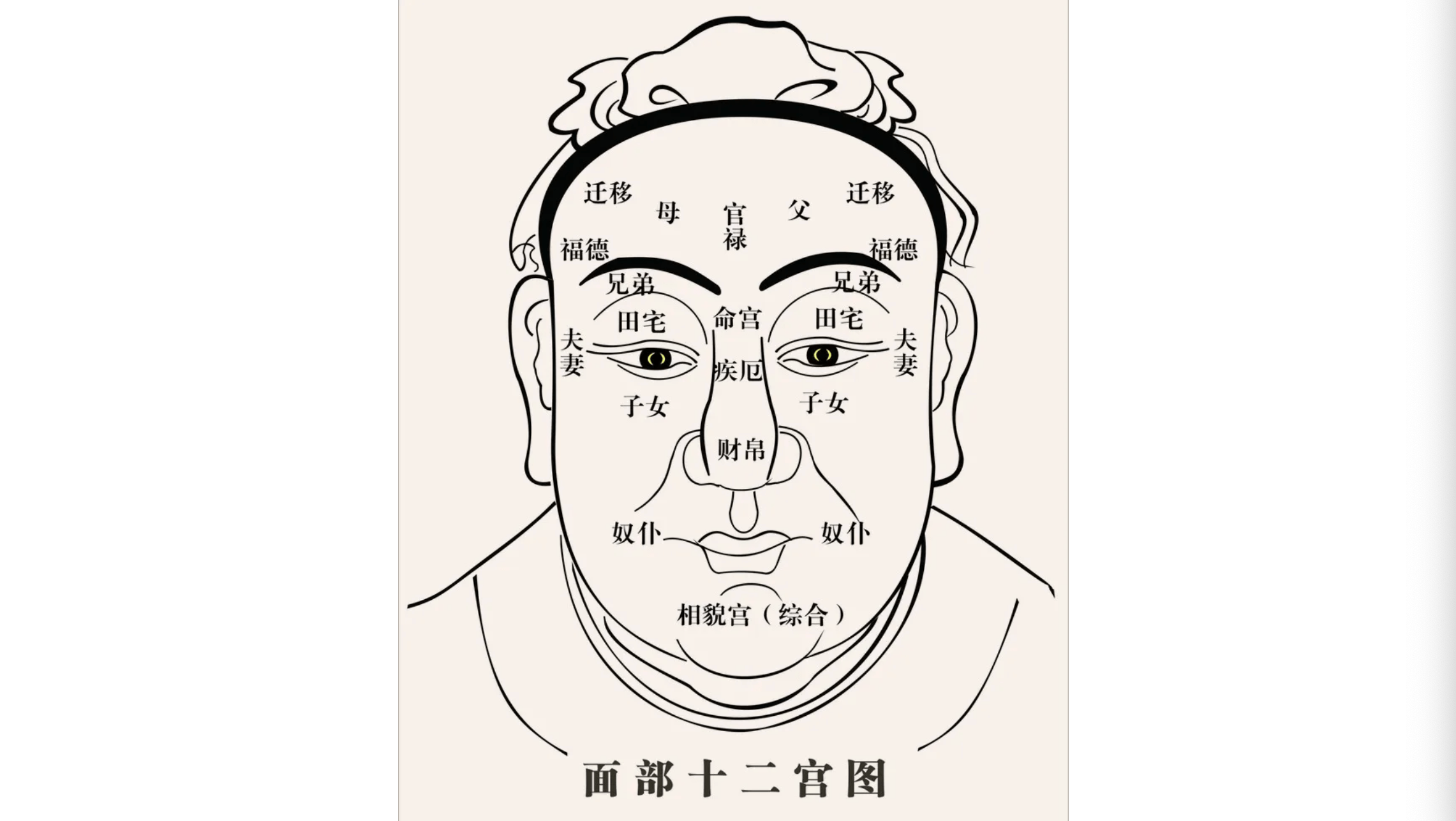 风水堂：什么样的面相，为伏羲面相