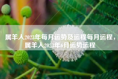 属羊人2023年每月运势及运程每月运程，属羊人2023年6月运势运程