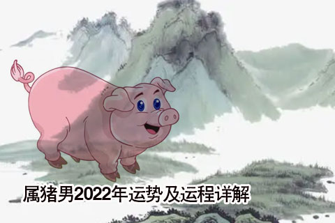 1971年属猪男2023年全年运势怎么样呢？