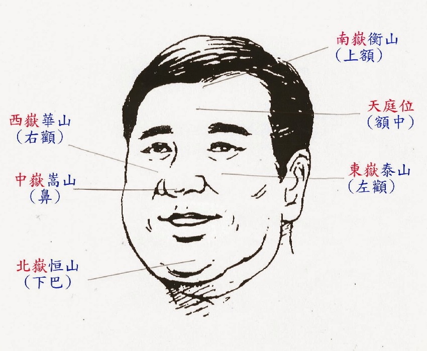 面相男人发财鼻相看哪里女人有三个特征多半是富贵命