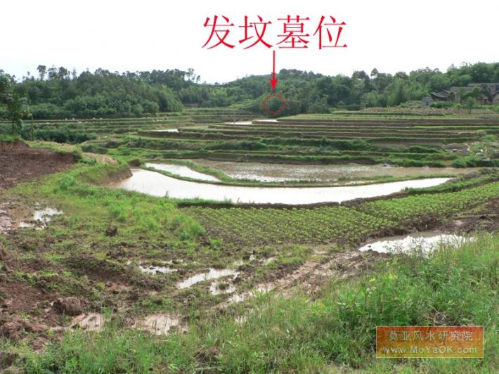 慈世堂:教你如何查看墓地风水宝地看风水