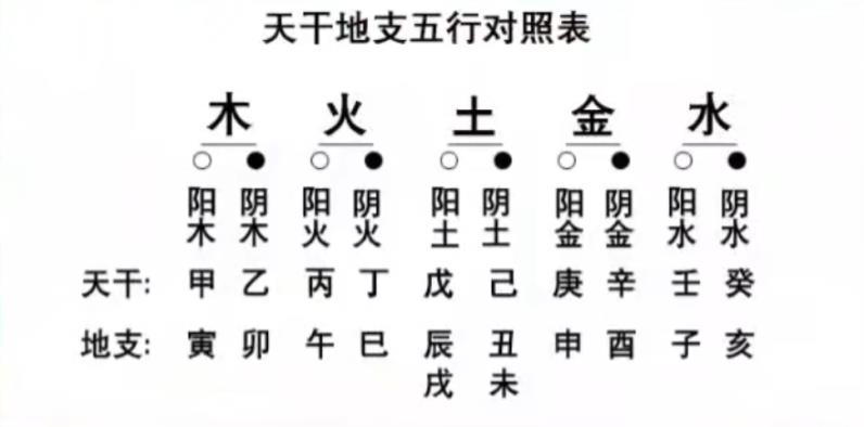 人一生下来就是阴阳各半没毛病