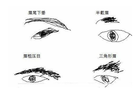 风水堂：眉毛光洁饱满的面相特征