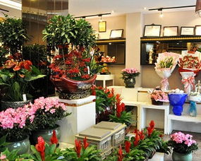 开花店起什么名好呢？鲜花品种、鲜切花