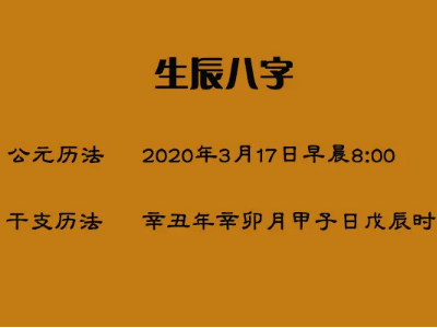 命理分析：董明珠的天干甲地支午、子和辰