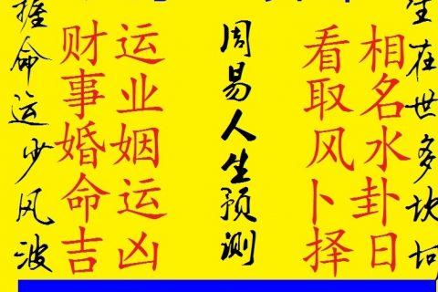 命理分析：董明珠的天干甲地支午、子和辰