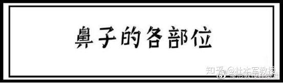 不同鼻形分析鼻子/是人脸面的支柱！