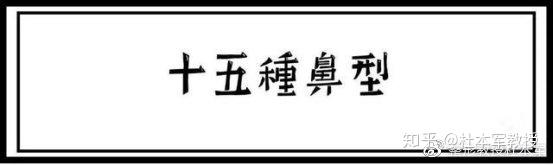 不同鼻形分析鼻子/是人脸面的支柱！