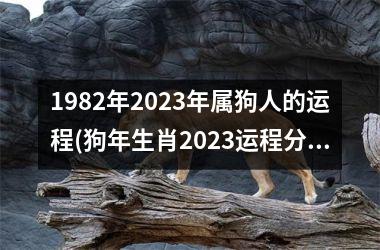 属狗人2023年农历正月运势不稳定藏凶