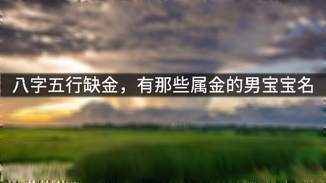 宝宝起名08-22宝宝名字大全八字喜水的男孩名字