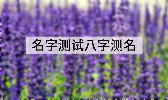 宝宝起名08-22宝宝名字大全八字喜水的男孩名字