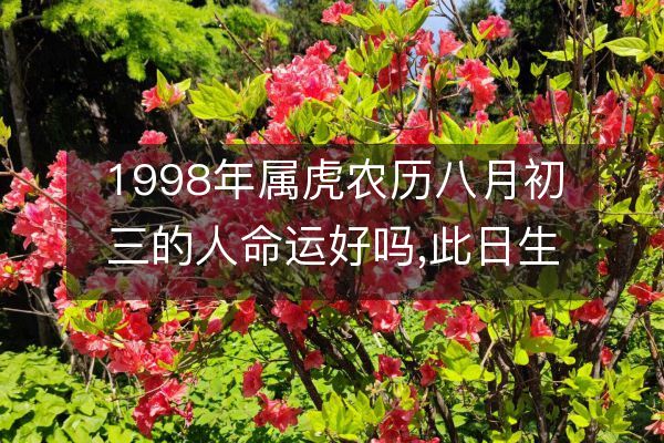 1998年属虎农历八月初三出生的人是什么命