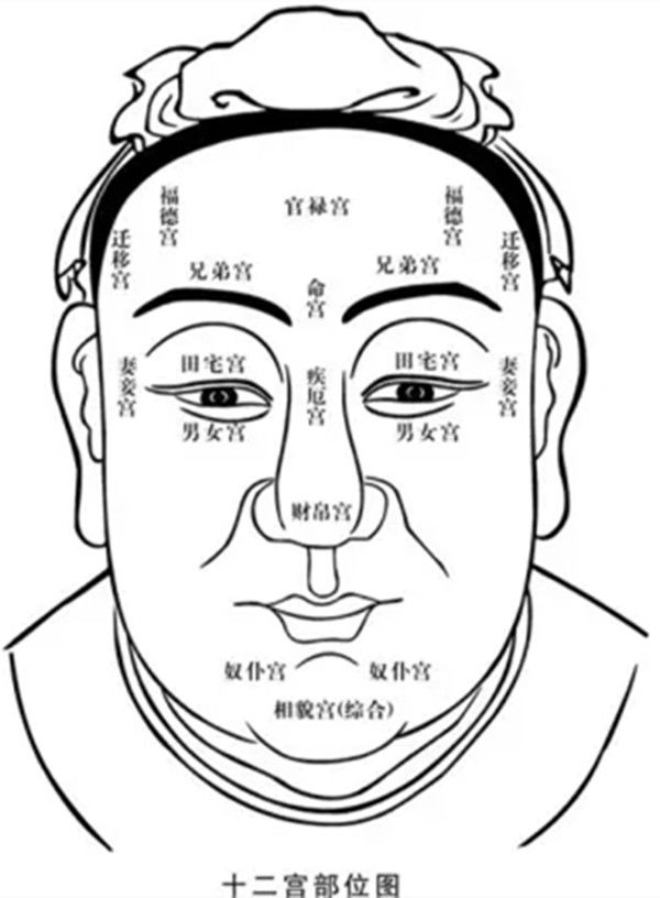 相由心生：探究面相与基因、性格、命运的关系