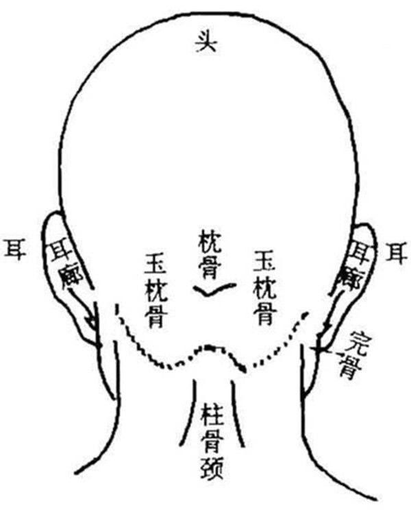 相由心生：探究面相与基因、性格、命运的关系