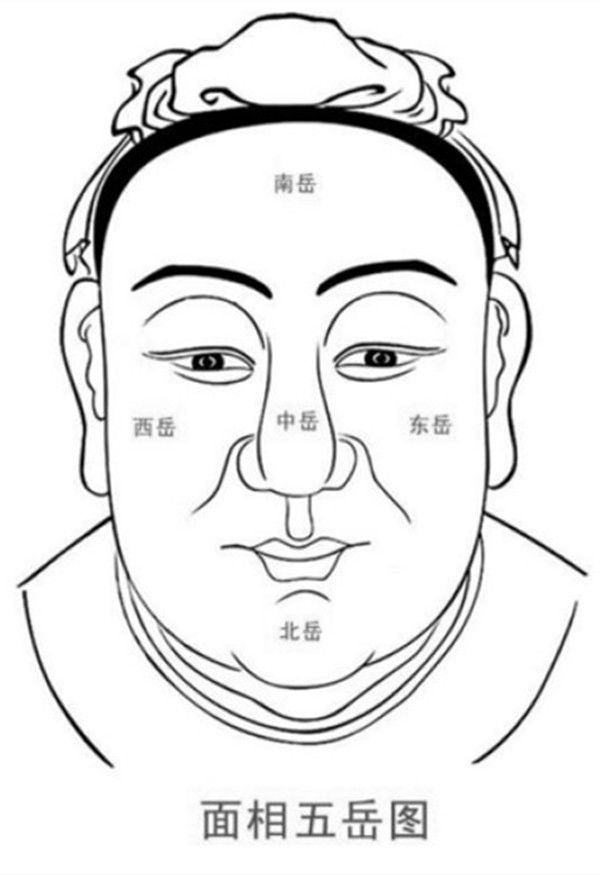 相由心生：探究面相与基因、性格、命运的关系