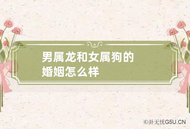 属龙和属狗相冲相克？解析两者性格差异与关系